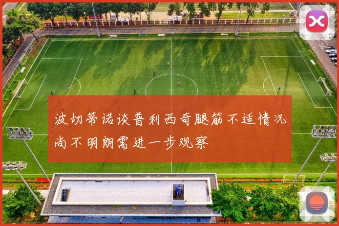 波切蒂诺谈普利西奇腿筋不适情况尚不明朗需进一步观察